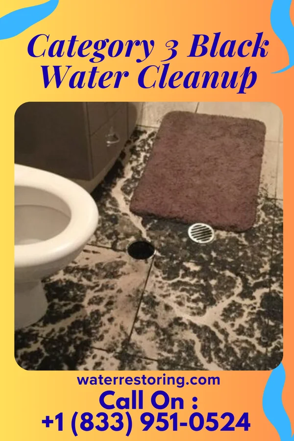 Category 3 Black Water Cleanup in Gilman, MN