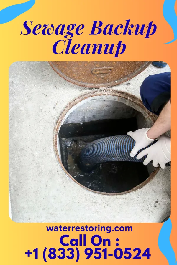 Sewage Backup Cleanup in Gilman, MN
