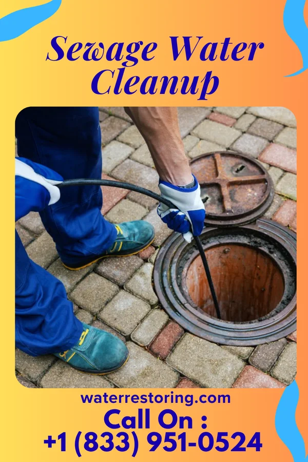 Sewage Water Cleanup in Gilman, MN