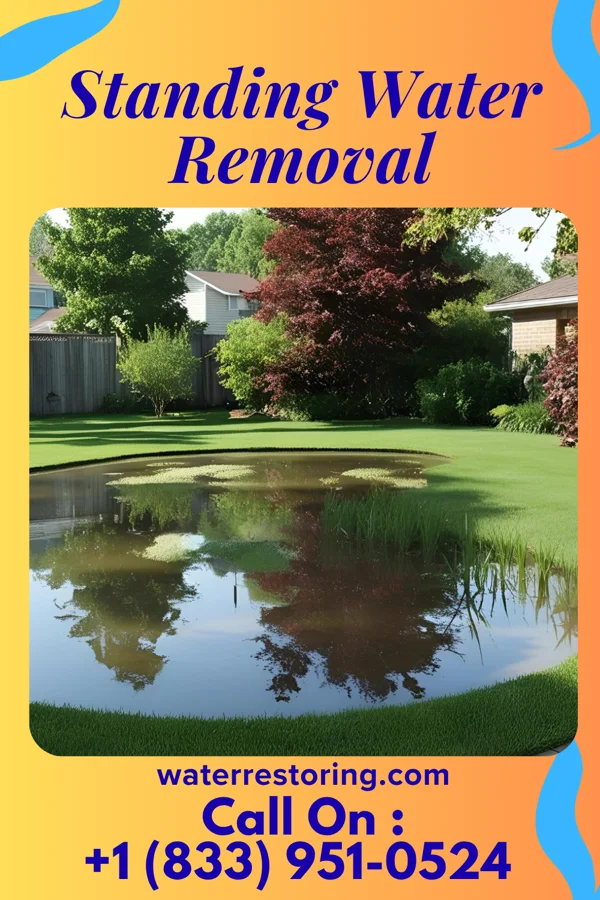 Standing Water Removal in Gilman, MN
